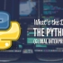 Python采集某破站上万弹幕，制作词云图分析数据！