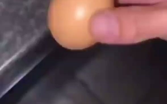 egg