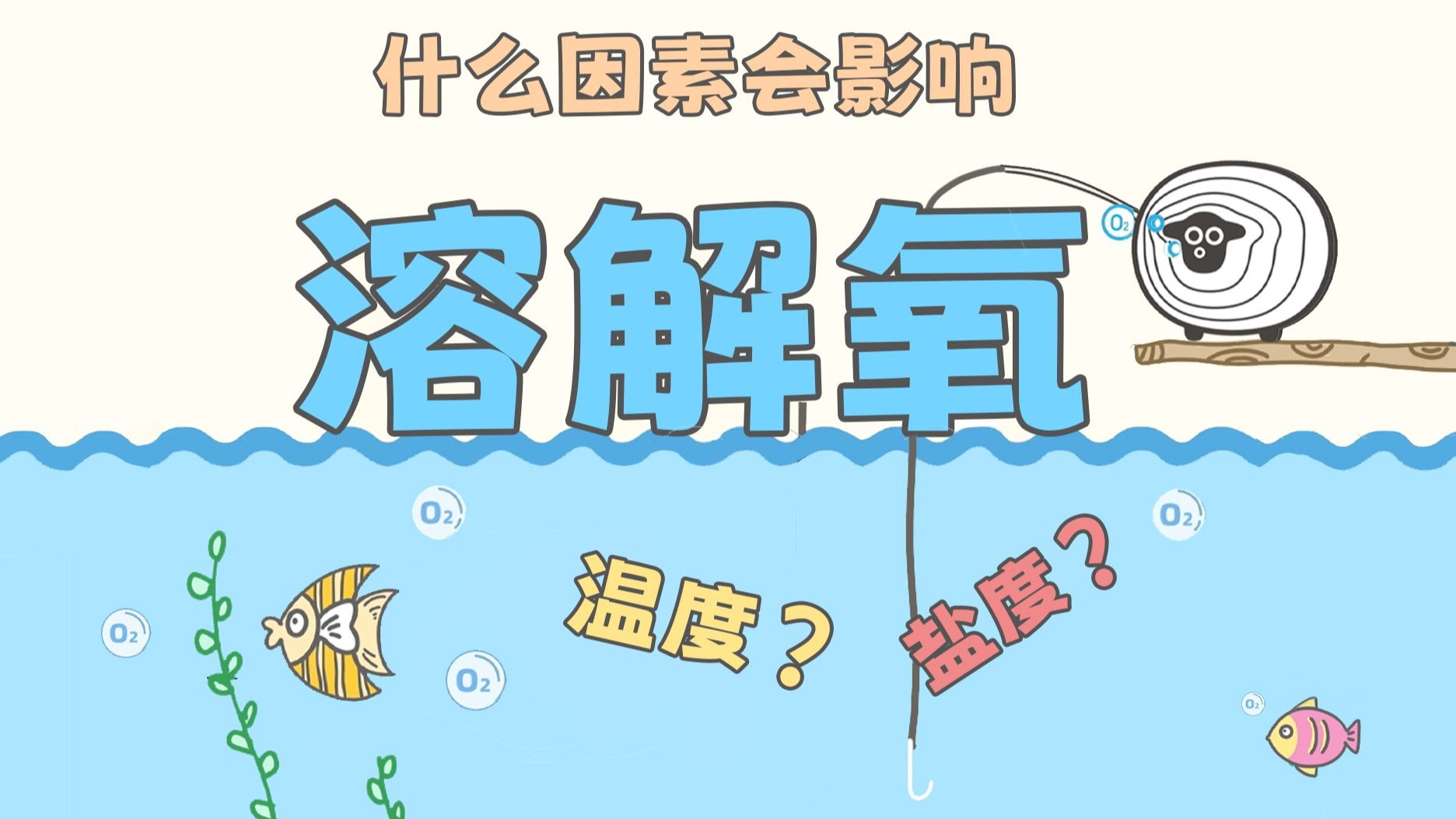 高考题中的溶解氧，到底该怎么分析？【羊羊地理｜手绘动画164】