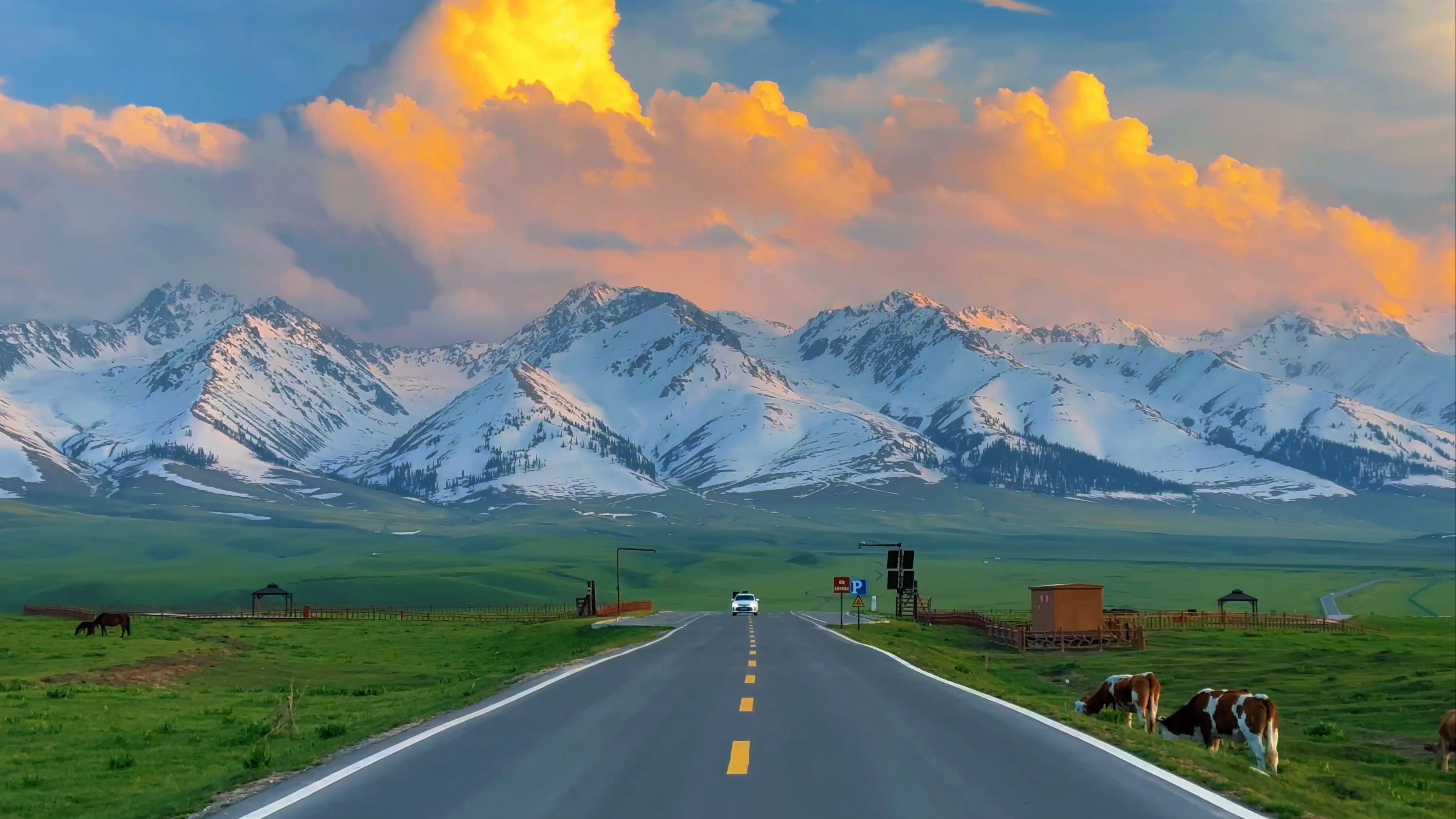 “仿佛来到了童话里的世界~”