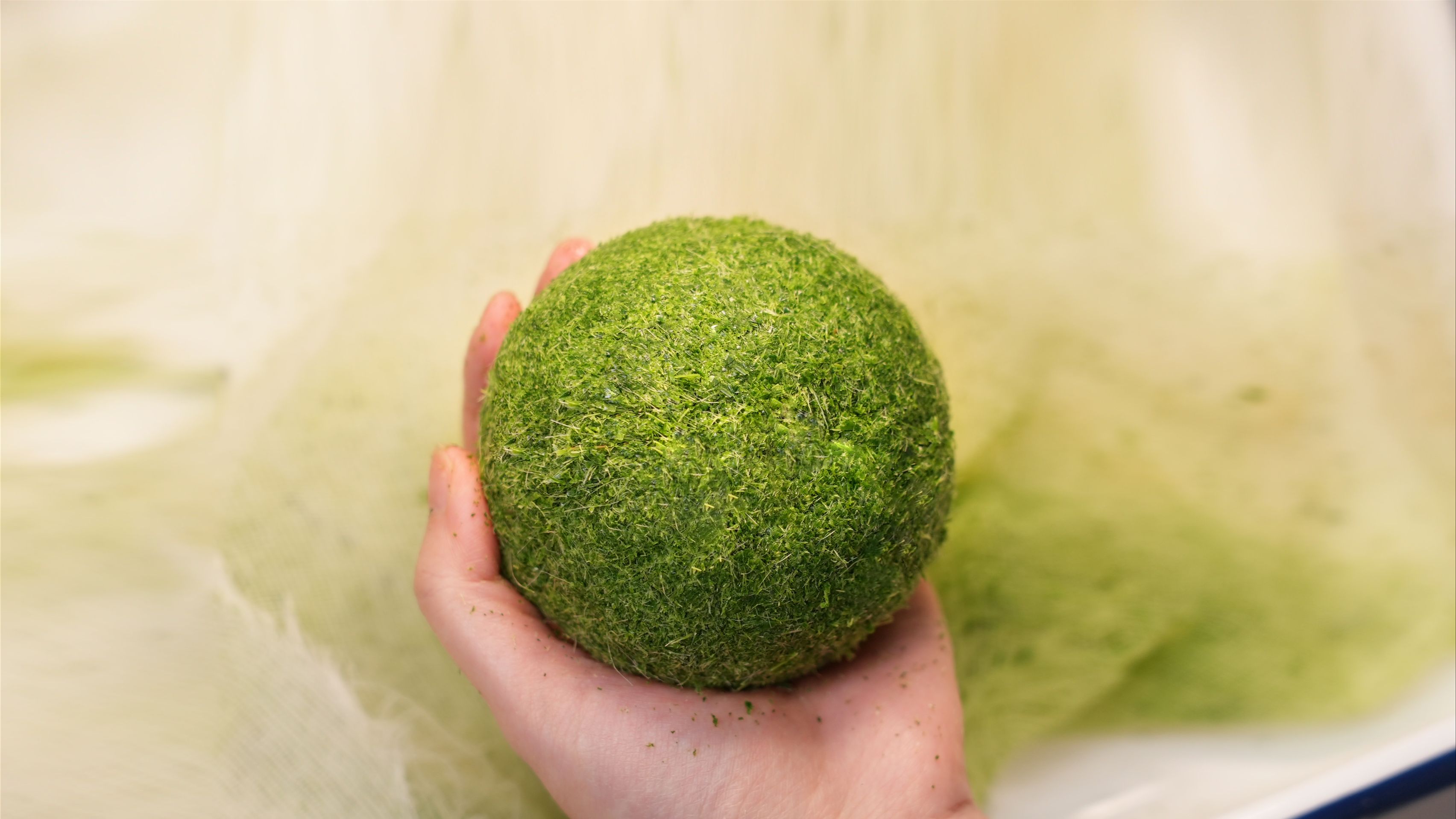 馋了20年！！它是真实存在的！！