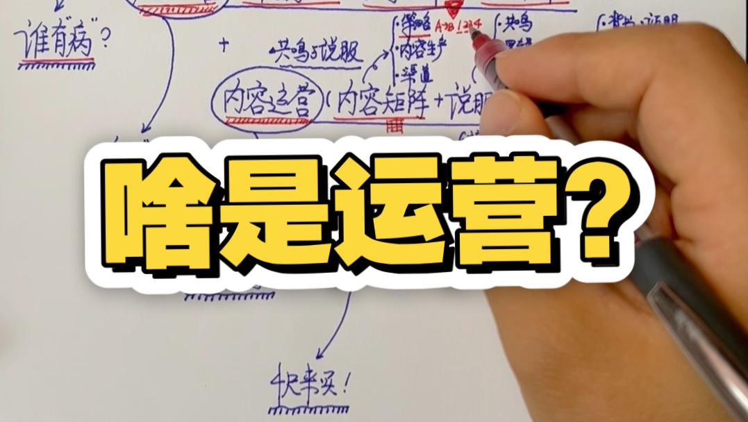 一图看我20年的运营功力