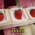 岛国小哥试吃5万日元一颗的天价草莓！日本物价真贵！