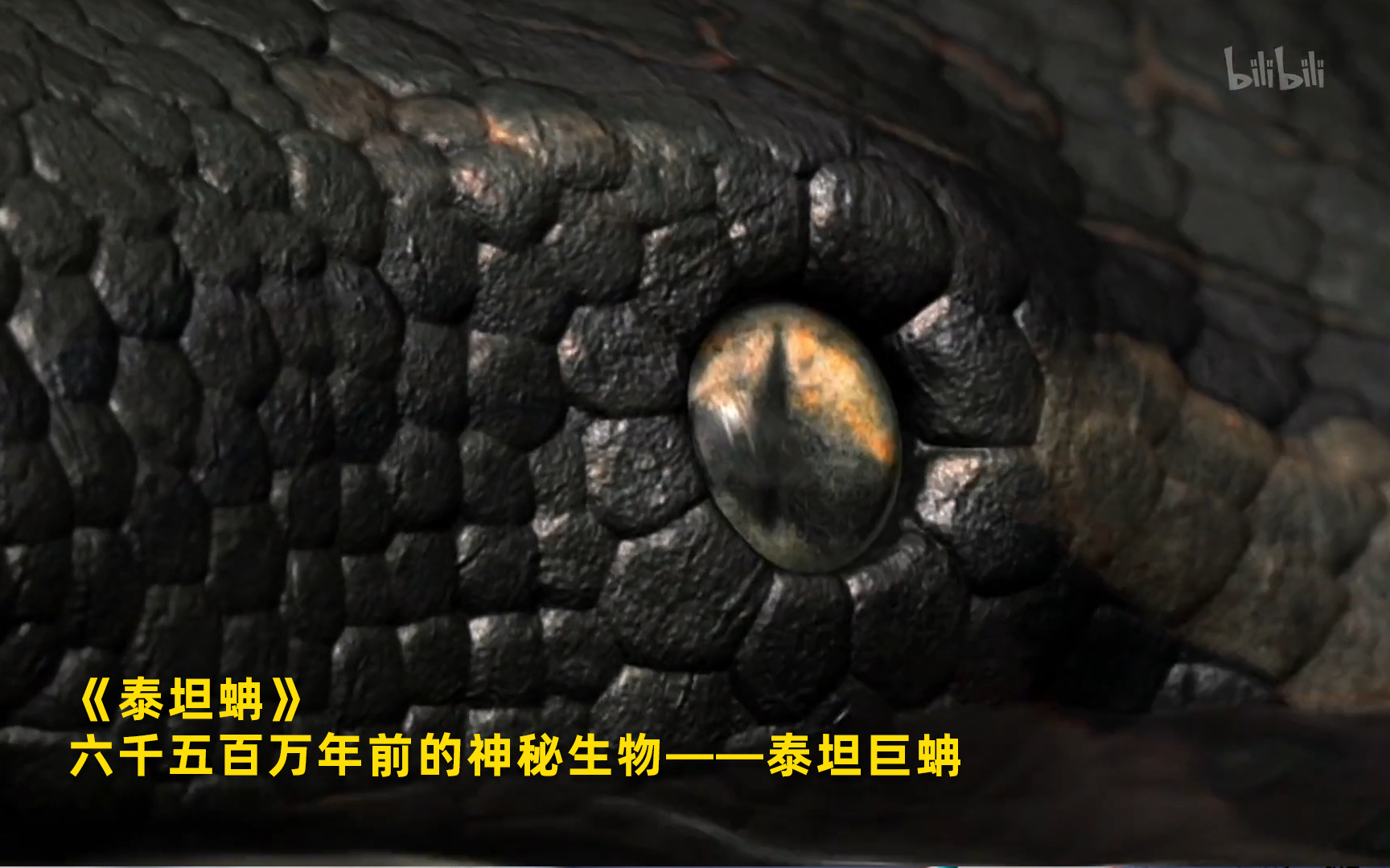 【泰坦蚺】看点1：六千五百万年前的神秘生物——泰坦巨蚺 竖版
