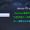 【AI模型尝鲜】国产开源DeepSeek多模态Janus-Pro介绍和一键整合包体验教程 生图识图大一统