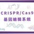 【Osmosis】CRISPR/Cas9 基因编辑系统（中英字幕）