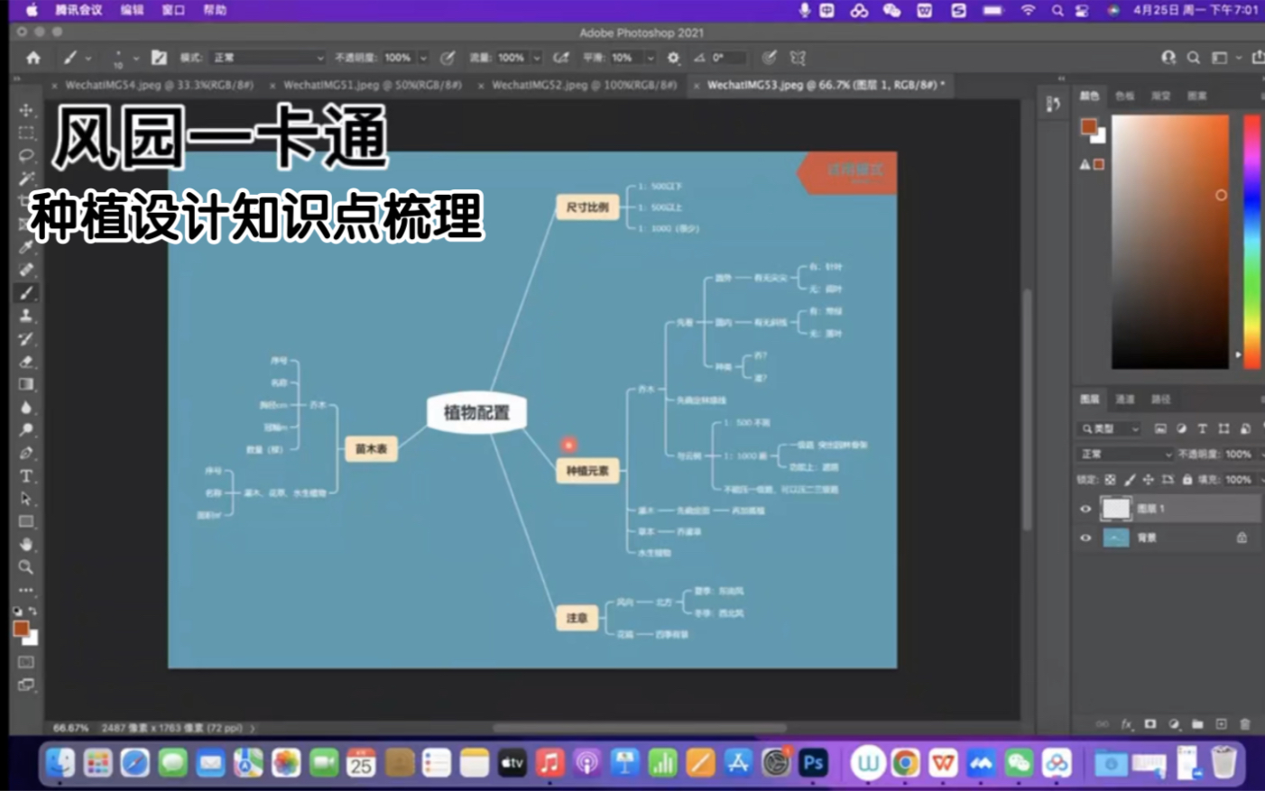 风景园林考研——种植设计考点梳理哔哩哔哩bilibili