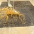 暴力清洗一张被狗尿过的地毯！污水飞溅，泡沫横流，过程极度舒适