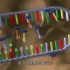 转录与翻译 From DNA to Protein