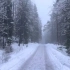 挪威森林雪景-Snow Walk In Forest - Norway