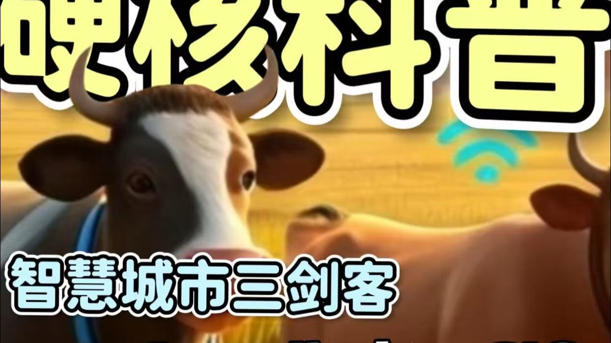 从导航到外卖，从天气预报到城市管理，手机'超级大脑'无处不在