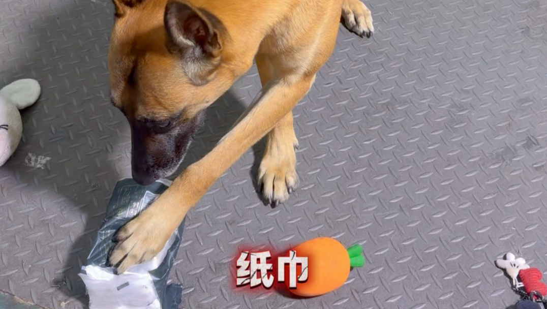 文官依旧很优秀