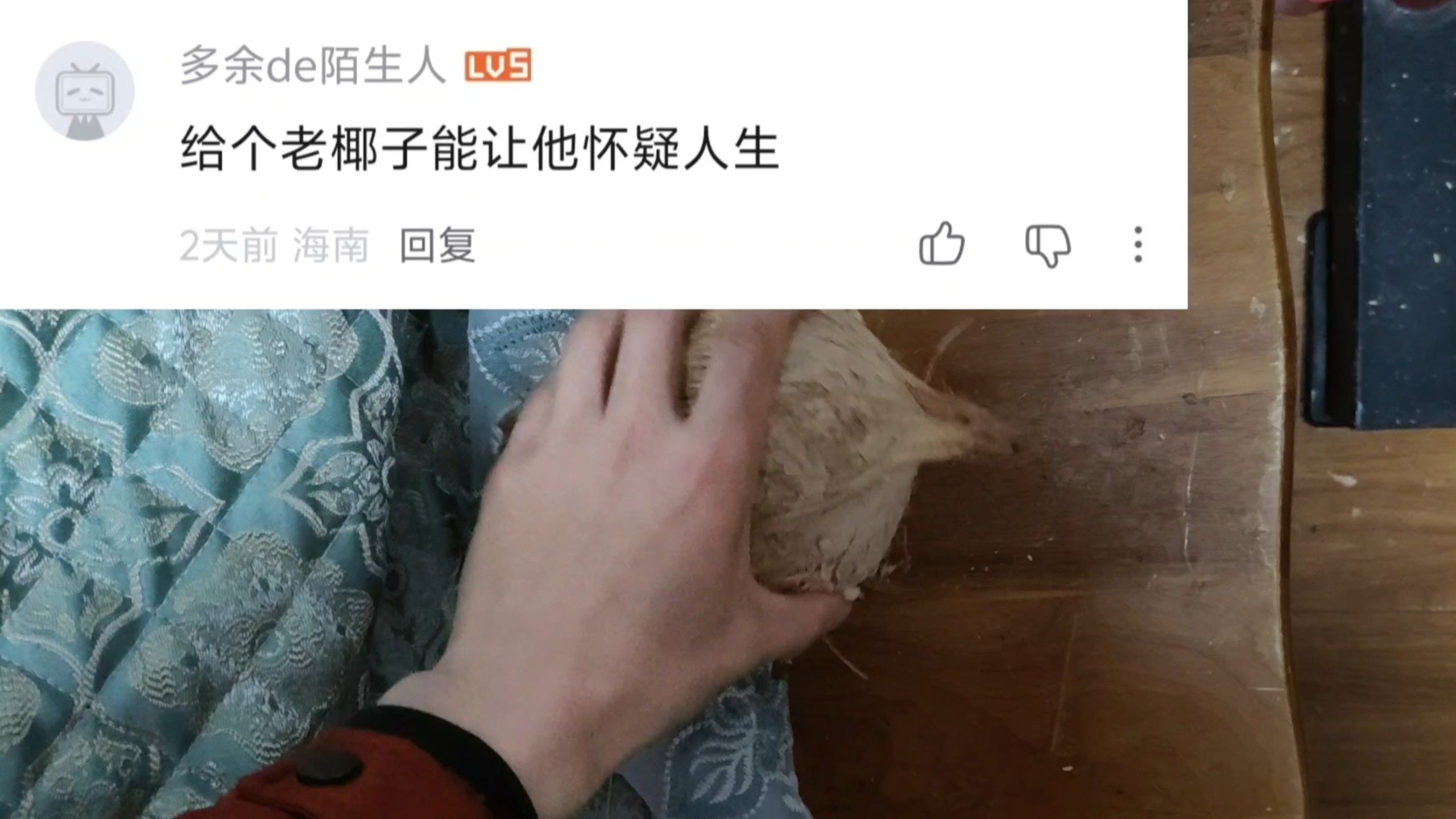 上好的椰子蟹是不挑食的～
