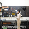 为了我的小猫，改造工具房的一天