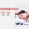 保健按摩师-07-人体其他系统基本知识（二