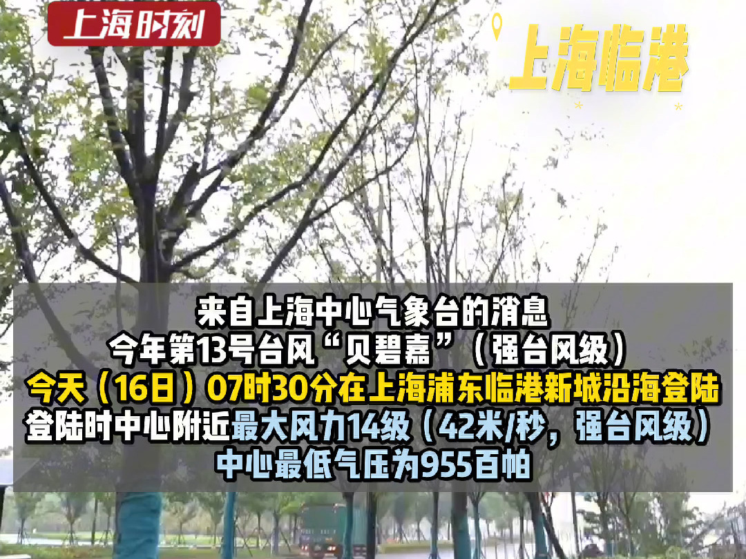 “贝碧嘉”登陆上海浦东临港新城沿海,为75年来登陆上海最强台风!登陆时中心附近最大风力14级哔哩哔哩bilibili