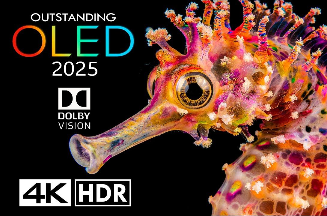 出色的杜比视界 4K HDR 60FPS - 4K 视频超高清