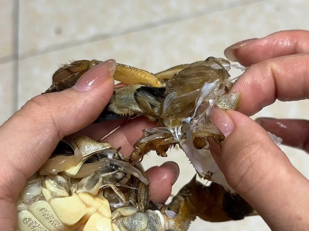 手动换壳