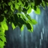 实拍夜晚下的大暴雨雨水雨滴下雨3599119