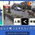 新冠病毒已经影响到了“鹿（日本奈良）的世界”没游客？没鹿饼？看开言日语短视频-暴学日语