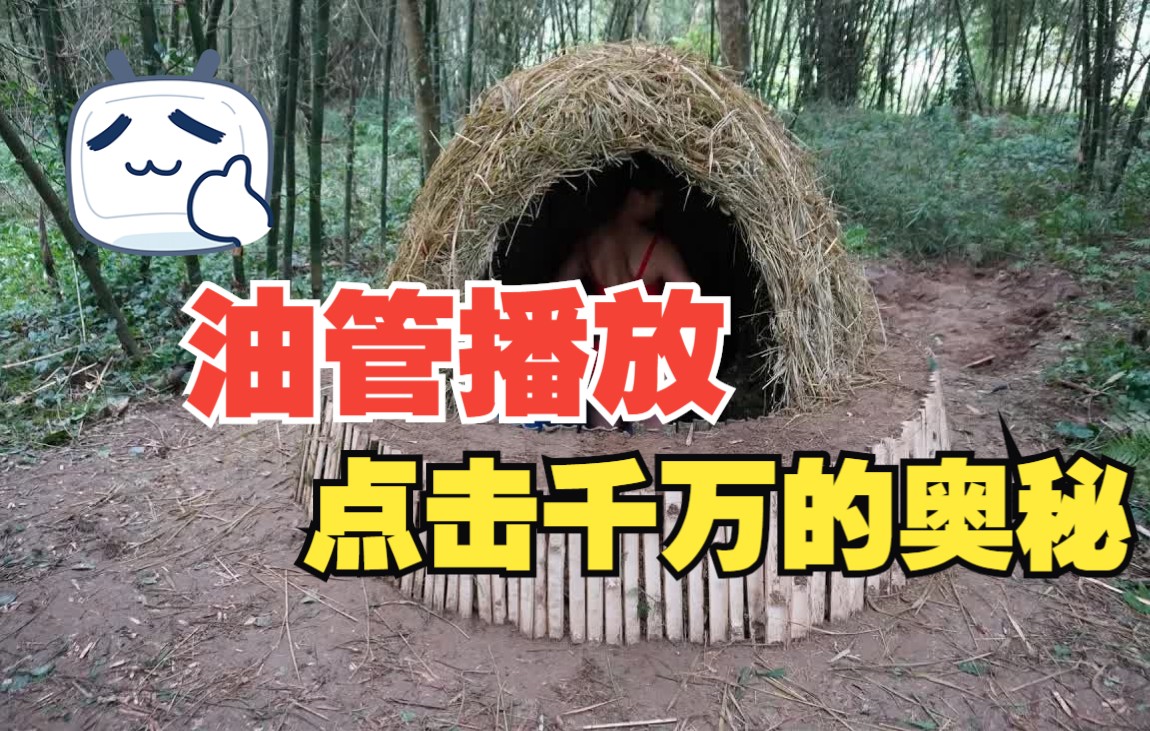 油管2千万播放！荒野生存美女专家用竹子打造了一个生存避难所，遮风挡雨不在话下！