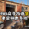 农村旧房子改造第一天！老鼠洞太多啦