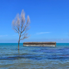 青海湖和草原风光 NEX3拍摄