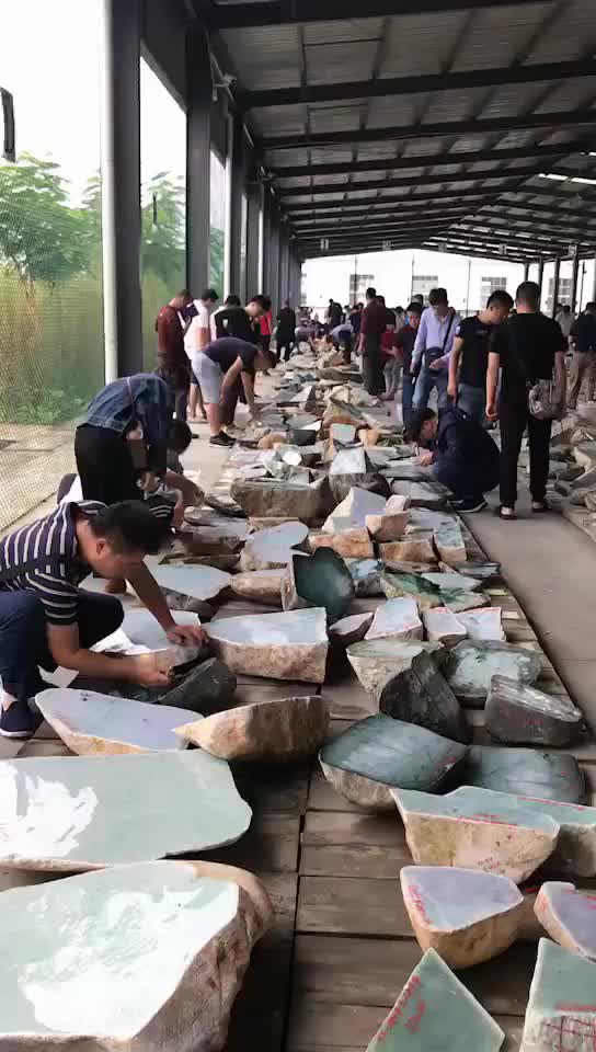 云南盈江翡翠原石公盘现场,玉商们多认真?