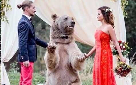 厉害了我的老外的全部相关视频_bilibili