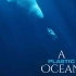 【纪录片】塑料海洋 A Plastic Ocean 2016（英语中字）