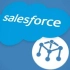 5. Salesforce Apex - Chapter 2 - Part 4 - sObject and the Da