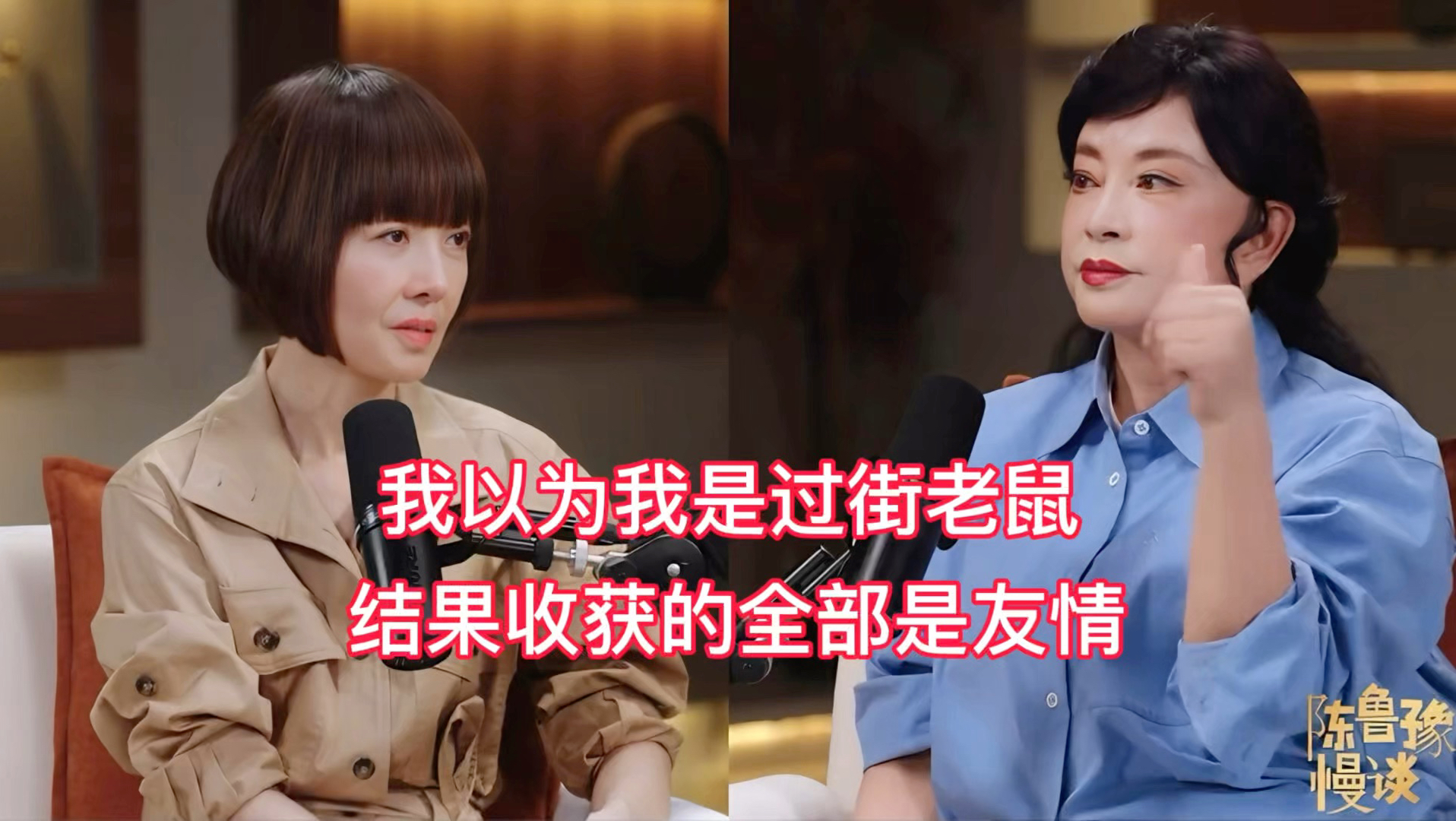 刘晓庆专访：“卓伟”我觉得他是一个有水平的人#刘晓庆鲁豫
