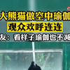 广州大熊猫雅一空中瑜伽