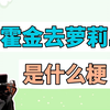 霍金去萝莉岛是什么梗