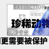 珍稀动物保护日｜灭绝边缘的它们更需要被保护