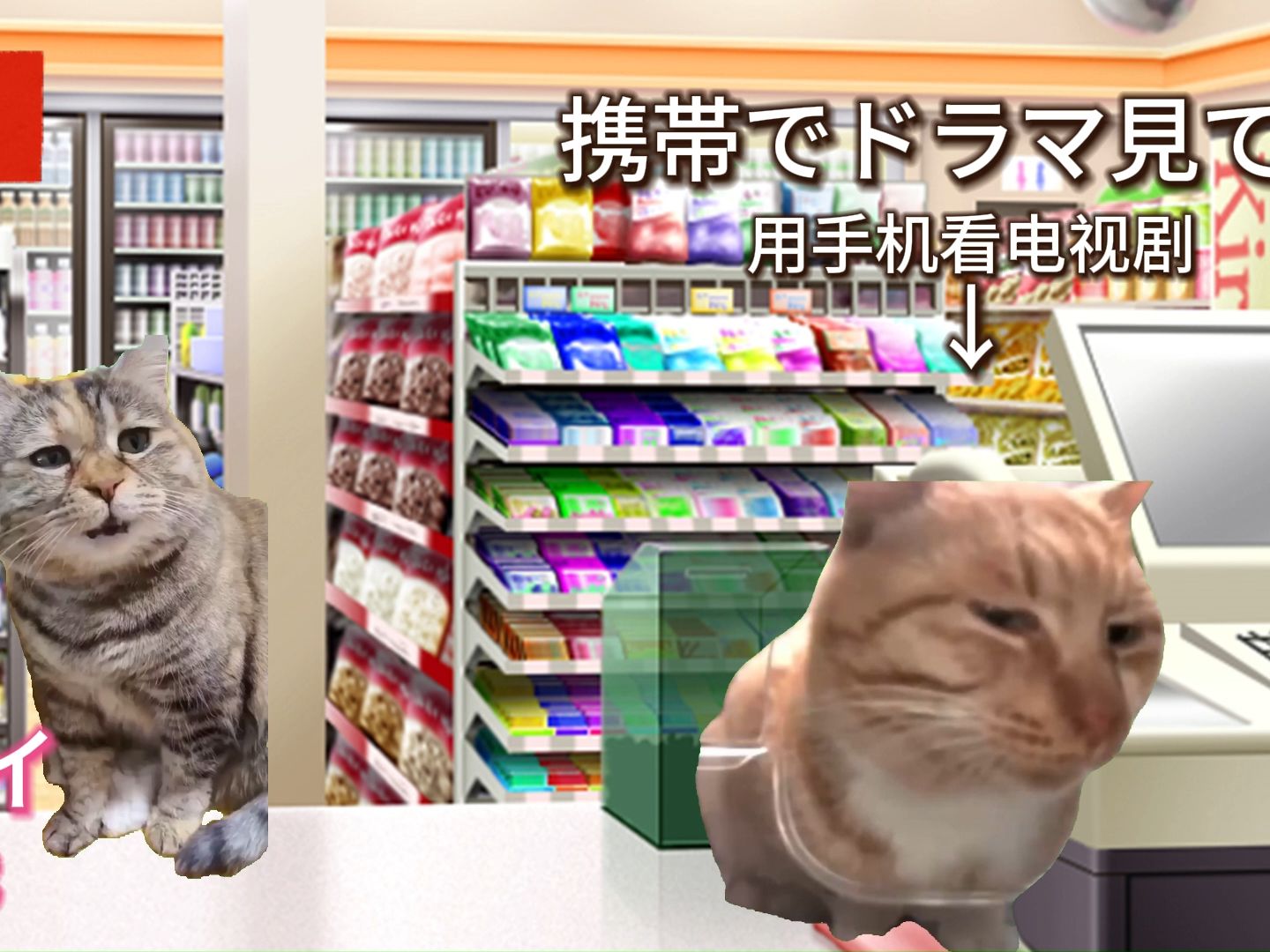 【客人是神篇】日本单亲妈妈去中国后，价值观发生变化的故事(3)【猫meme】