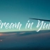 【旅拍Vlog】Dream in Yulin 梦在南国小城-玉林