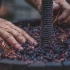 有没有想过你手中的葡萄酒是怎么酿造的？