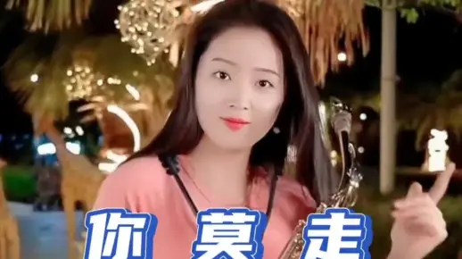 《你莫走》萨克斯演奏
