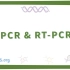 【预习】聚合酶链式反应 PCR（中英字幕）