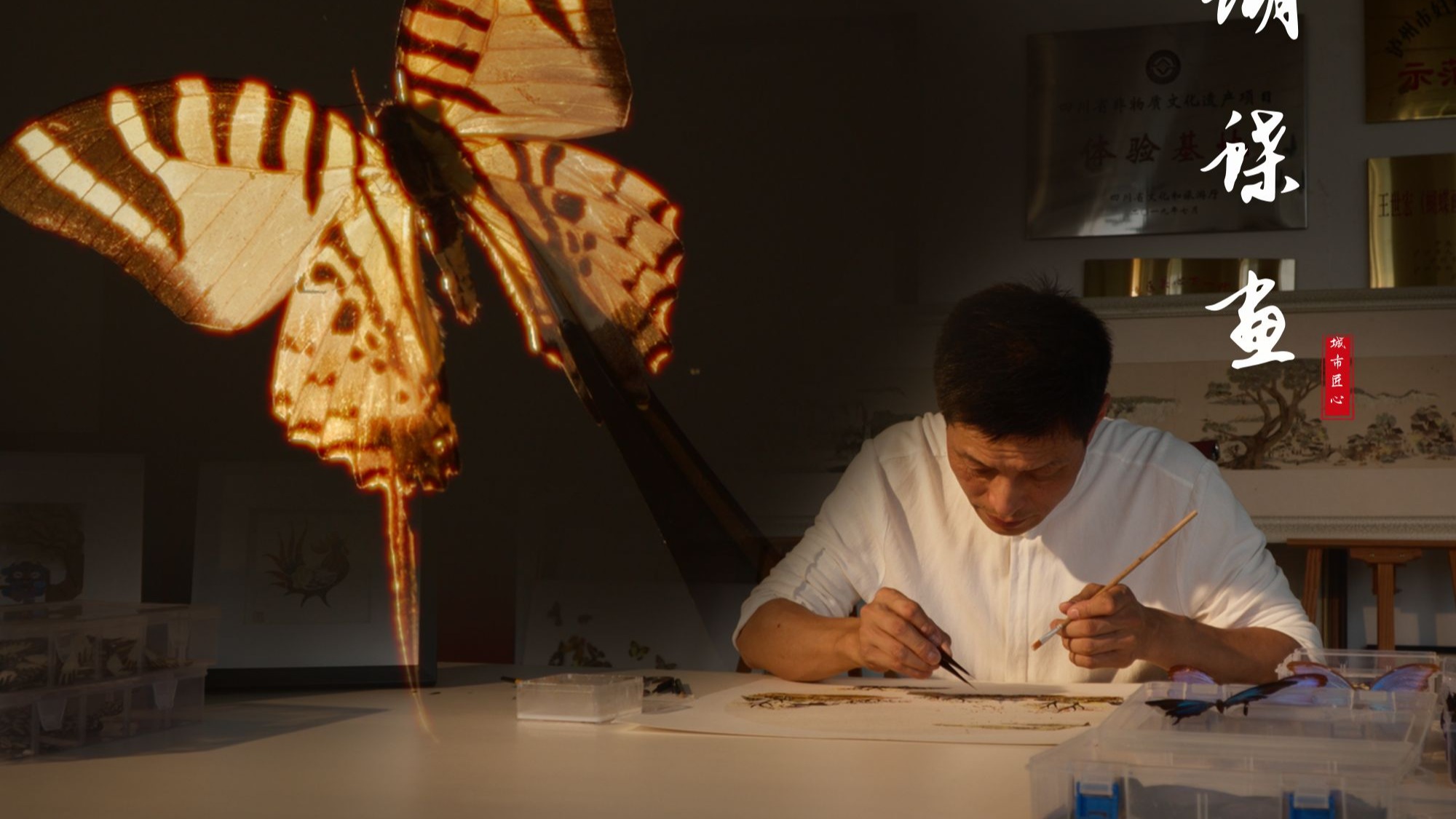 他将坠落人间的彩翼，剪切成永恒的美丽