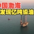 中国渤海再发现亿吨级油田