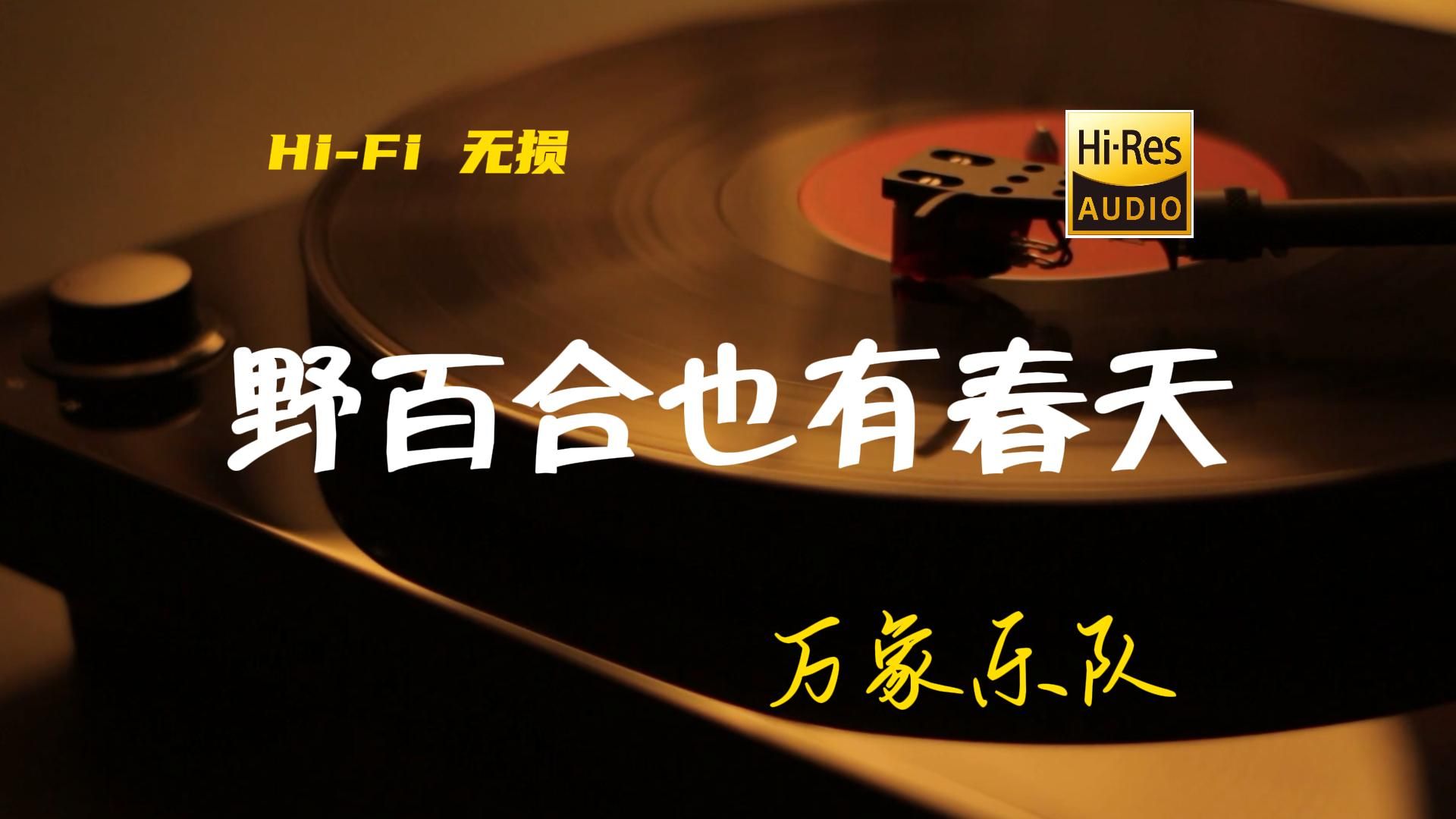 野百合也有春天 - 万向乐队【Hi-Res无损音质】