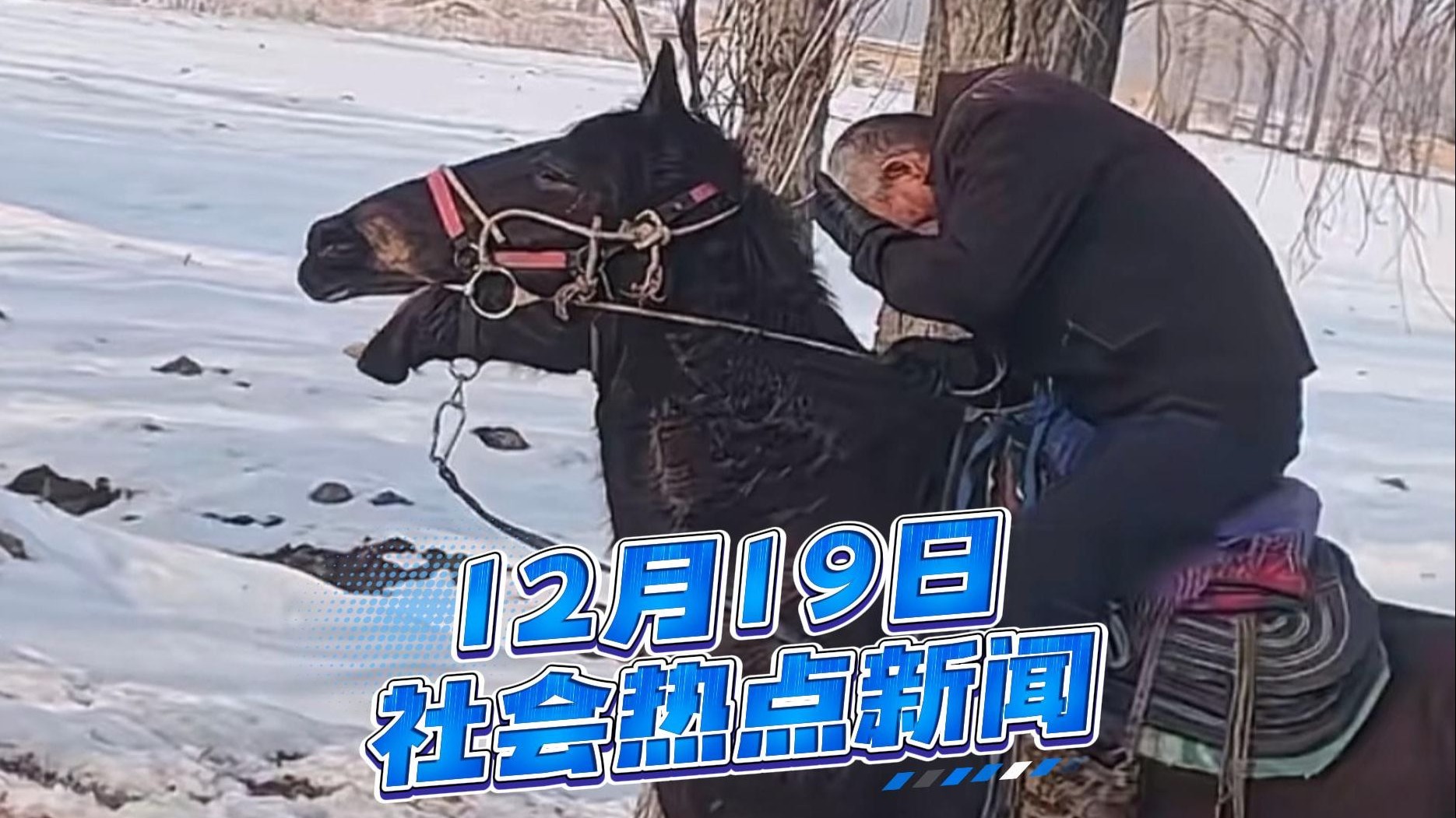 12月19日社会热点新闻事件速览，量大管饱