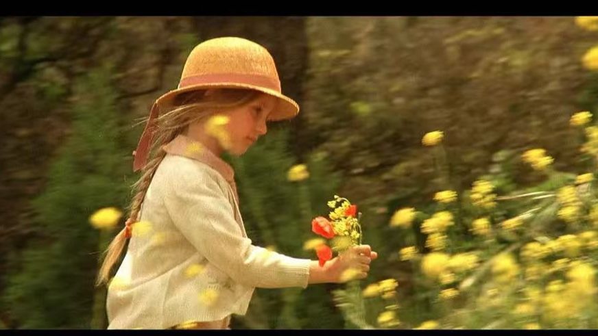 恋恋山城（1986 法国）