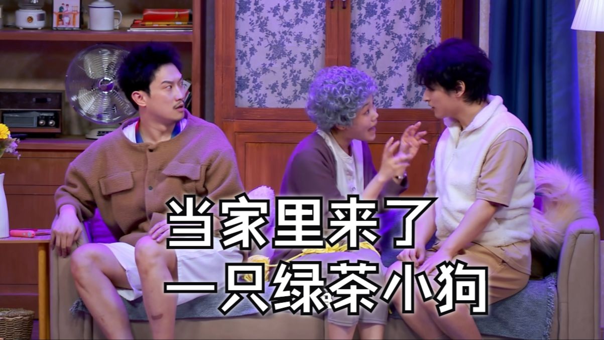 当家里来了一只绿茶小狗