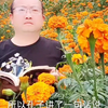 40—50岁是你人生的关键