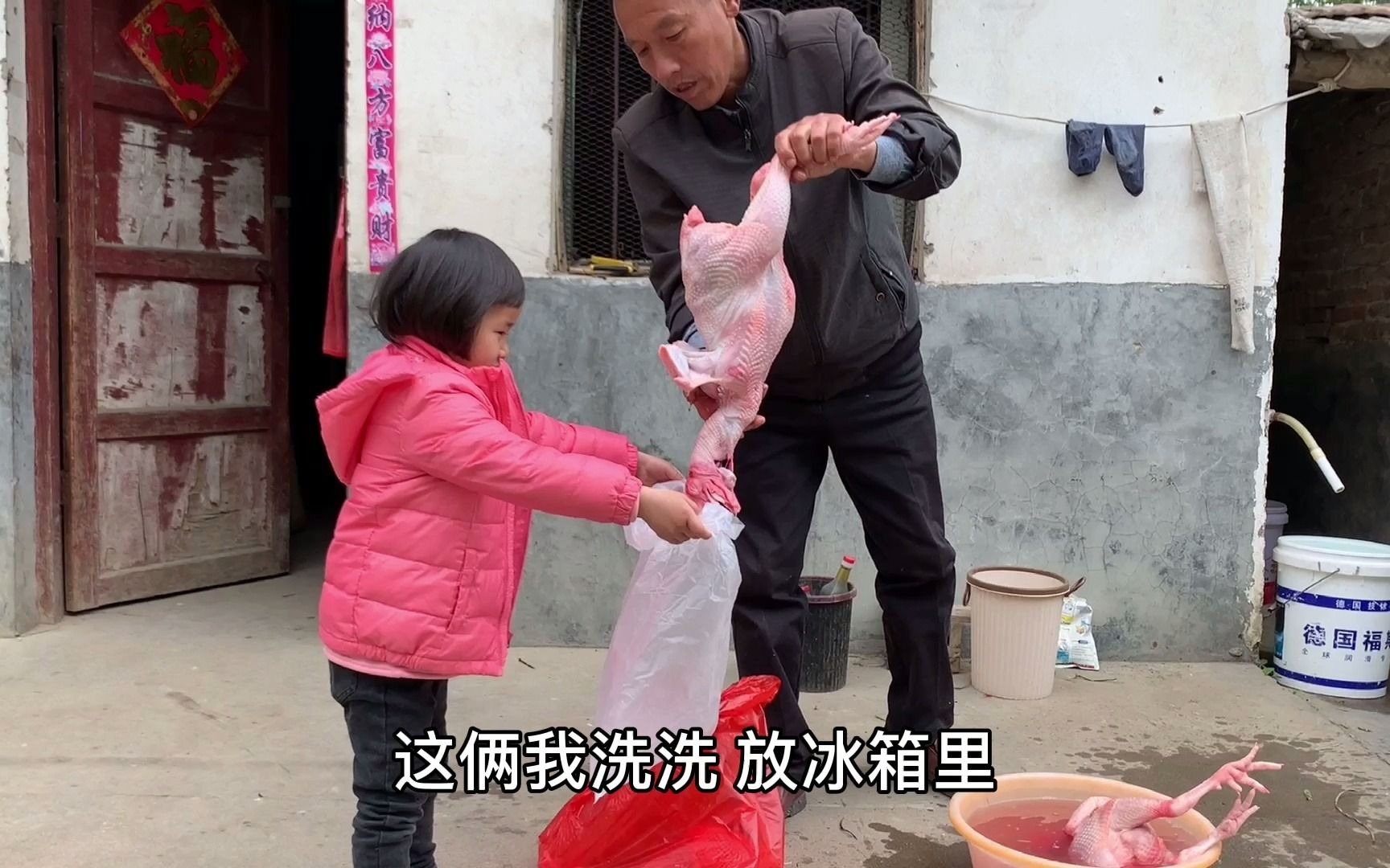 爷爷让优优带只大公鸡去县城，中午婷婷炖一锅，妈妈要养50只鸡