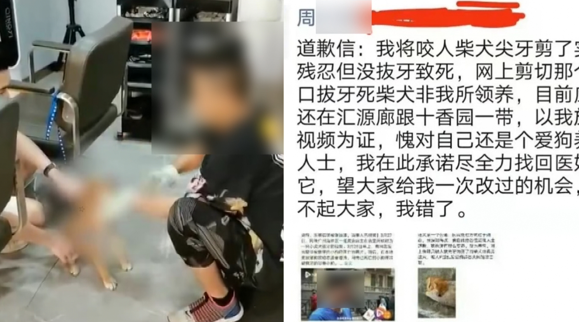 广州一男子用铁钳拔狗牙，狗吓到失禁仍放狠话：已被警方带走调查