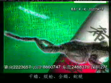 希尔安大败毒胶囊广告（2003）